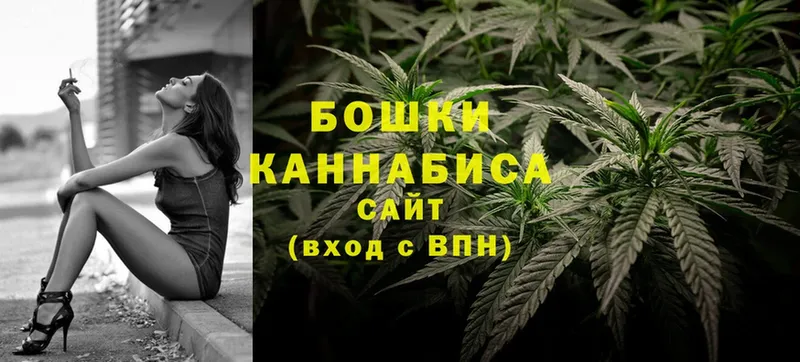 Конопля OG Kush  Динская 